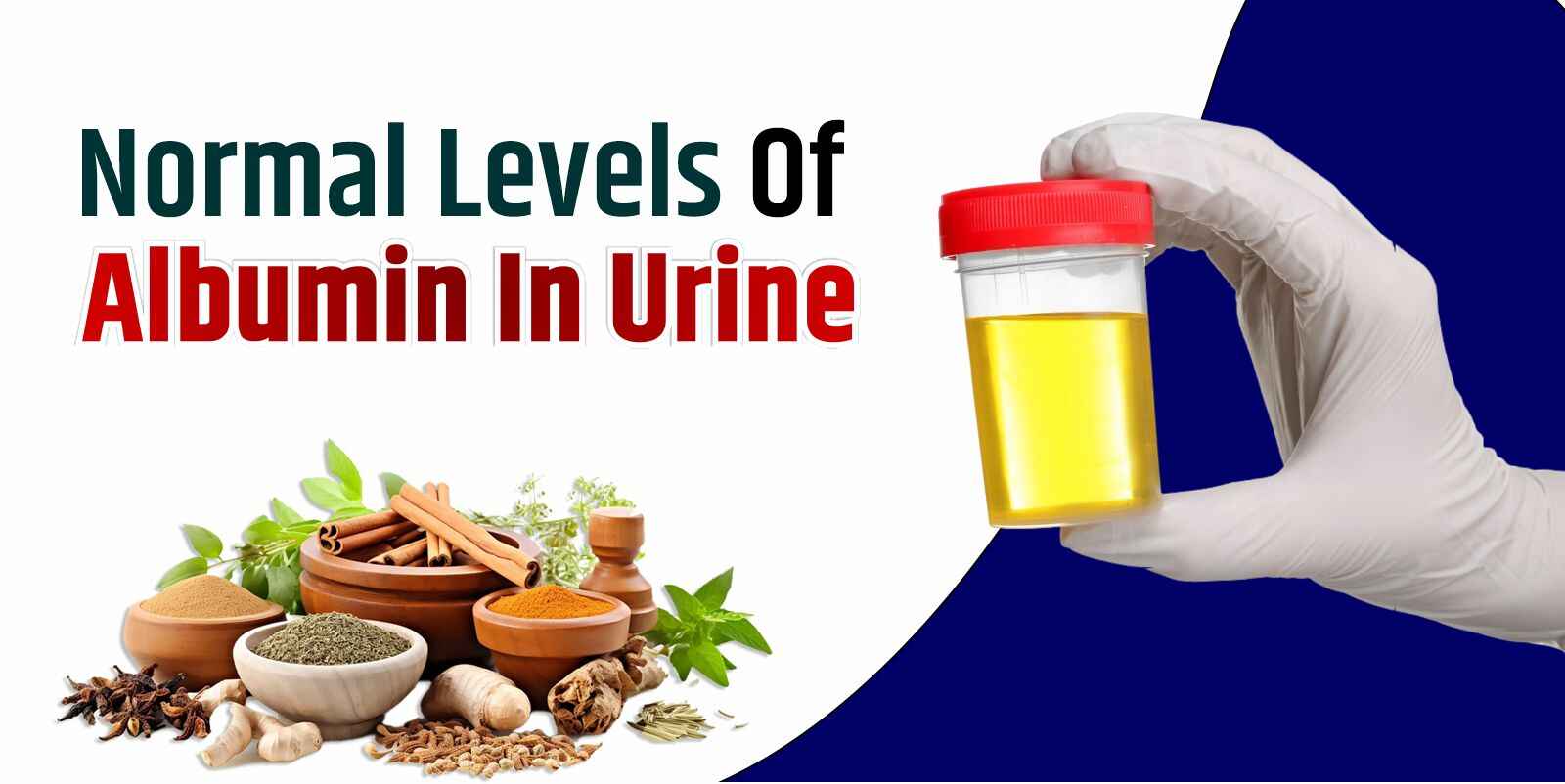 Normal Levels Of Albumin In Urine